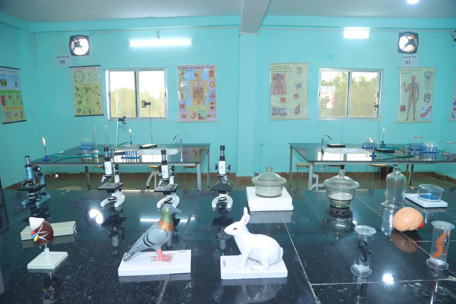 Laboratory Image